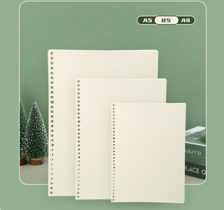 A5 B5 Line Grid 20Holes Loose- - A5 Spiral Dotted Grid Notebook 评论和价格