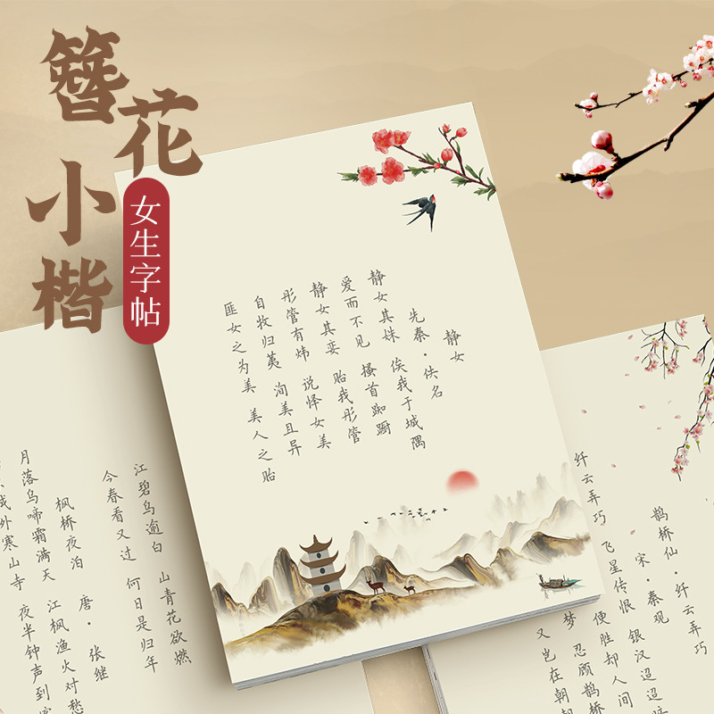 Hairpin Flower Small Kai Calli - Chinese Calligraphy Practice Book 评论和价格
