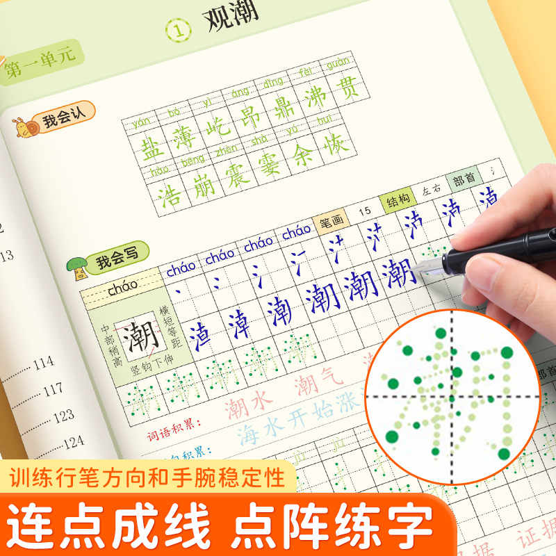 Dot Matrix Font Book, Chinese  - Chinese Calligraphy Practice Book 评论和价格