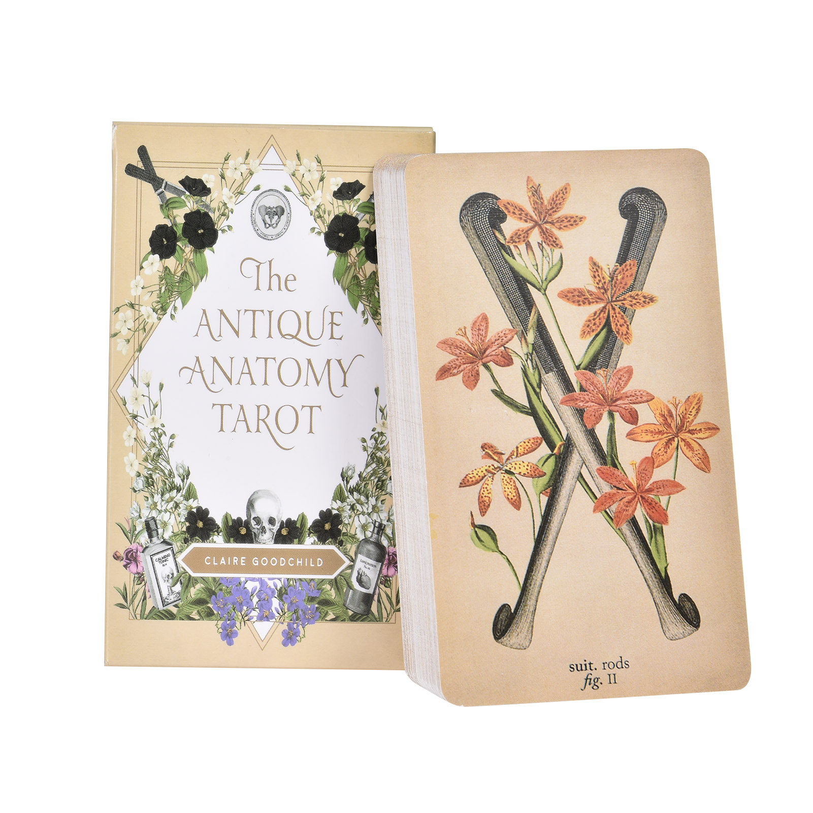 The Antique Anatomy Tarot Card - Tarot Deck With Guidebook 评论和价格
